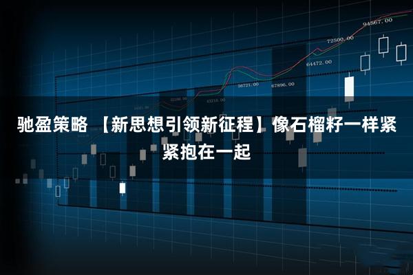 驰盈策略 【新思想引领新征程】像石榴籽一样紧紧抱在一起