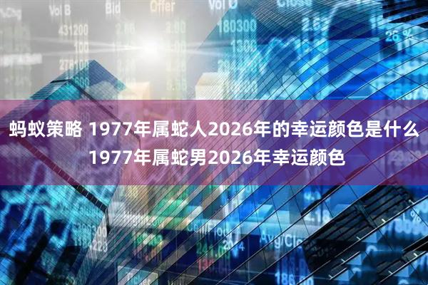 蚂蚁策略 1977年属蛇人2026年的幸运颜色是什么 1977年属蛇男2026年幸运颜色