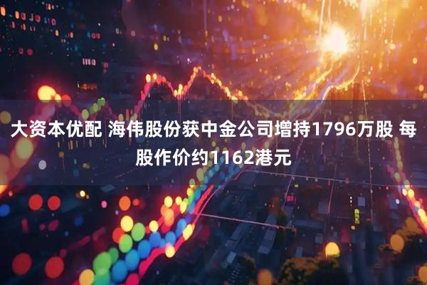 大资本优配 海伟股份获中金公司增持1796万股 每股作价约1162港元