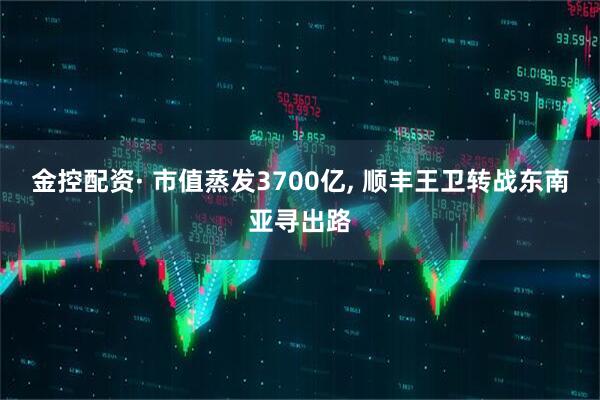 金控配资· 市值蒸发3700亿, 顺丰王卫转战东南亚寻出路
